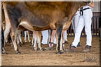 LCFAIR-081518-3595.jpg