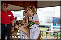 LCFAIR-081518-3596.jpg