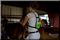 LCFAIR-081518-3597.jpg
