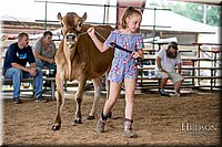 LCFAIR-081518-3601.jpg