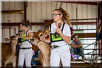 LCFAIR-081518-3606.jpg