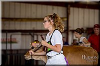LCFAIR-081518-3608.jpg