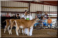 LCFAIR-081518-3614.jpg