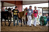 LCFAIR-081518-3616.jpg