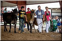 LCFAIR-081518-3617.jpg