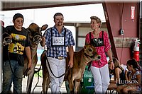 LCFAIR-081518-3618.jpg