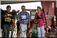 LCFAIR-081518-3619.jpg
