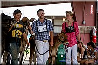 LCFAIR-081518-3620.jpg
