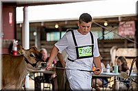 LCFAIR-081518-3622.jpg