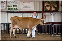 LCFAIR-081518-3624.jpg