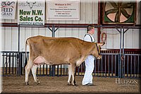 LCFAIR-081518-3625.jpg