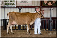 LCFAIR-081518-3626.jpg