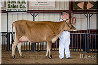 LCFAIR-081518-3627.jpg