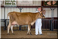 LCFAIR-081518-3628.jpg