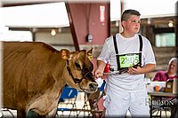 LCFAIR-081518-3630.jpg