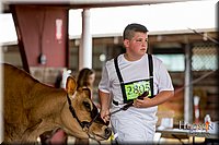 LCFAIR-081518-3631.jpg