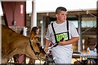 LCFAIR-081518-3632.jpg