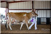 LCFAIR-081518-3633.jpg