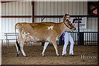 LCFAIR-081518-3634.jpg