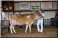 LCFAIR-081518-3637.jpg