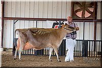 LCFAIR-081518-3671.jpg