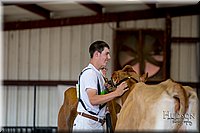 LCFAIR-081518-3689.jpg