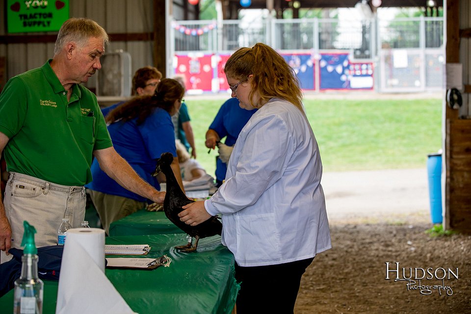 LCFAIR-081518-3375.jpg
