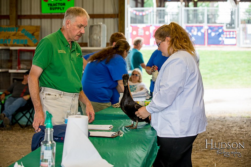 LCFAIR-081518-3378.jpg