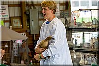 LCFAIR-081518-3316.jpg