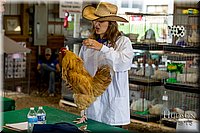 LCFAIR-081518-3362.jpg