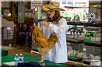 LCFAIR-081518-3363.jpg