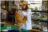 LCFAIR-081518-3364.jpg