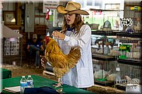 LCFAIR-081518-3365.jpg