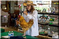 LCFAIR-081518-3366.jpg