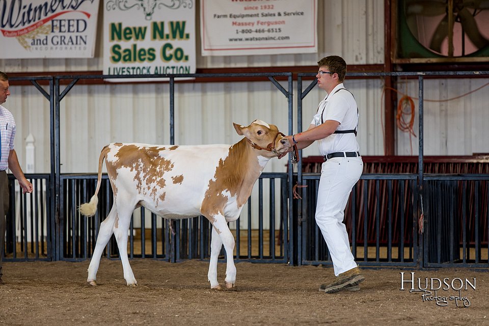 LCFAIR-081618-4274.jpg
