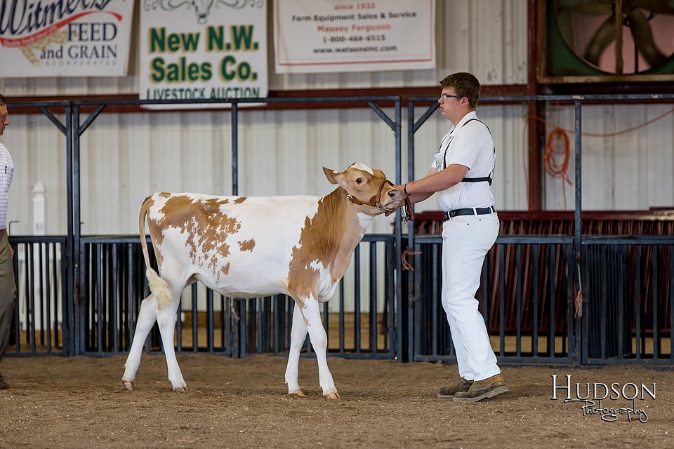 LCFAIR-081618-4275.jpg