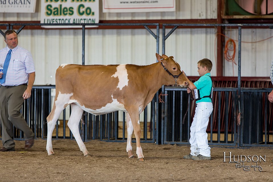 LCFAIR-081618-4277.jpg