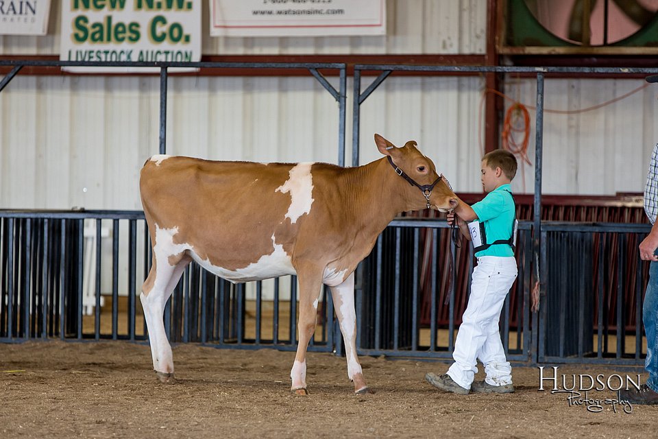 LCFAIR-081618-4278.jpg