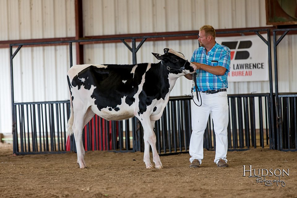 LCFAIR-081618-4280.jpg