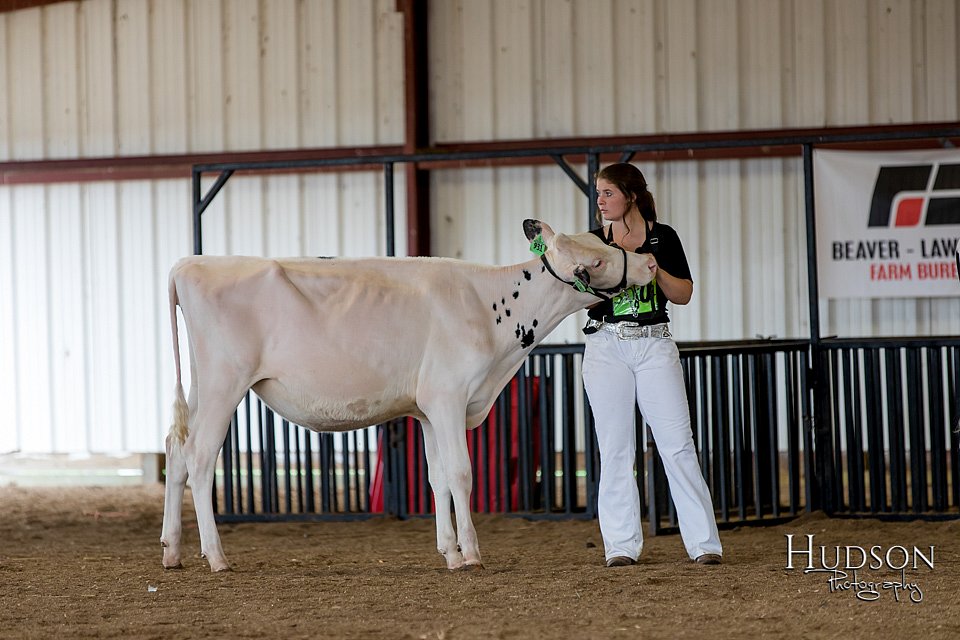LCFAIR-081618-4282.jpg