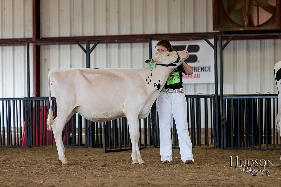 LCFAIR-081618-4283.jpg