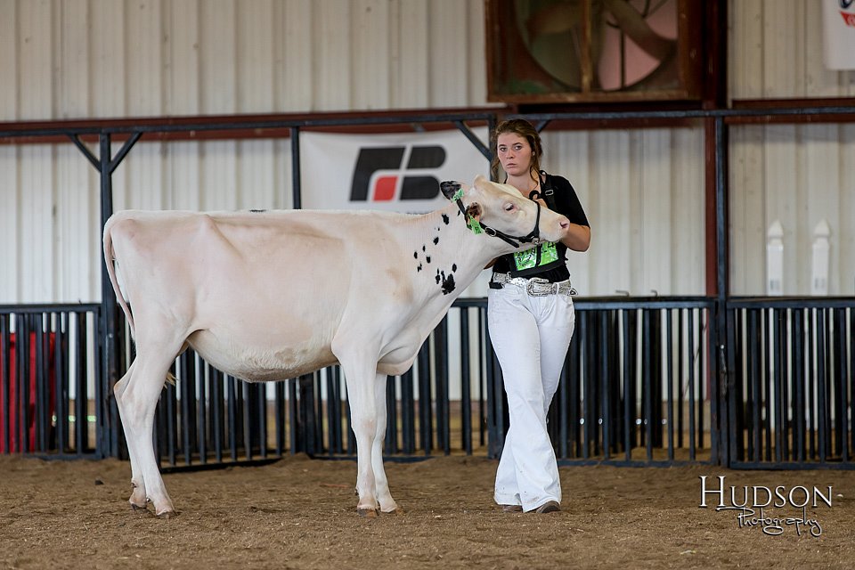 LCFAIR-081618-4284.jpg