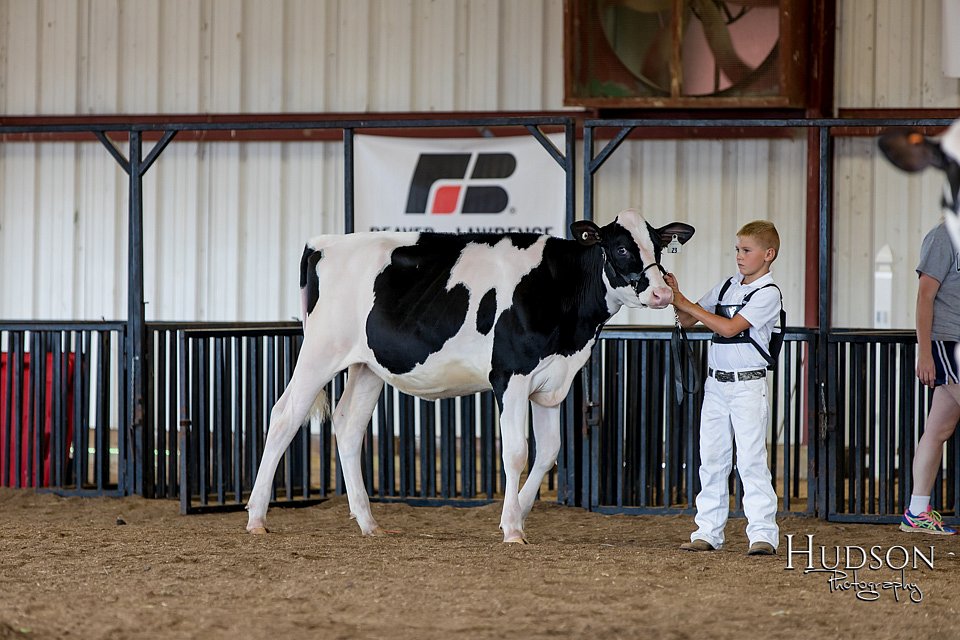 LCFAIR-081618-4288.jpg