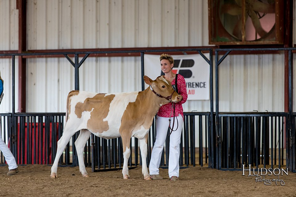 LCFAIR-081618-4299.jpg