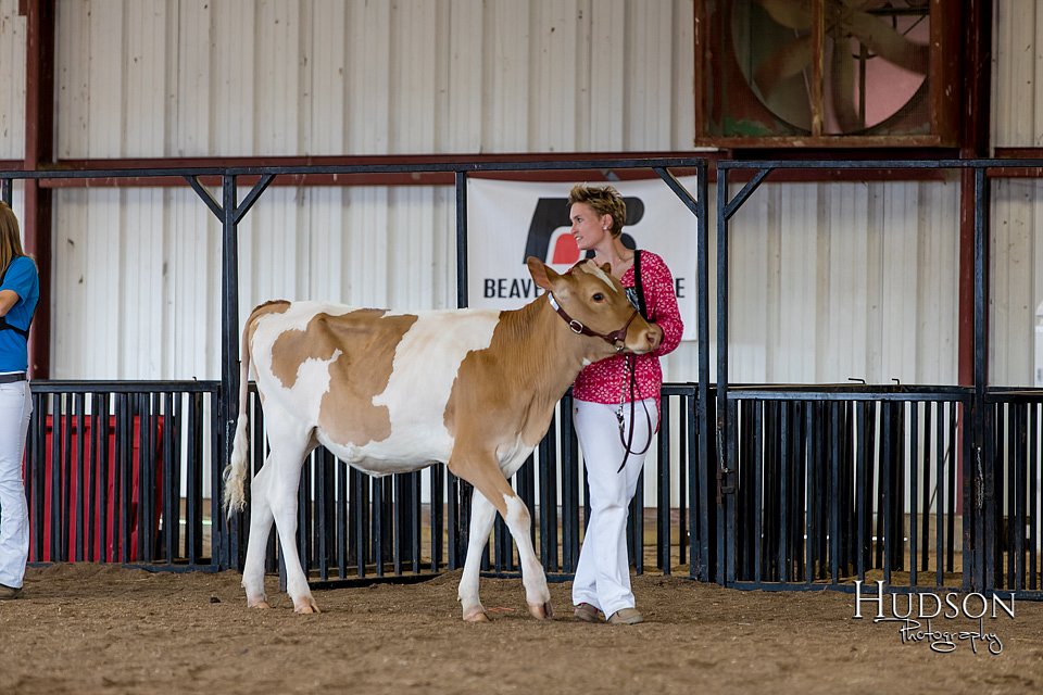 LCFAIR-081618-4300.jpg