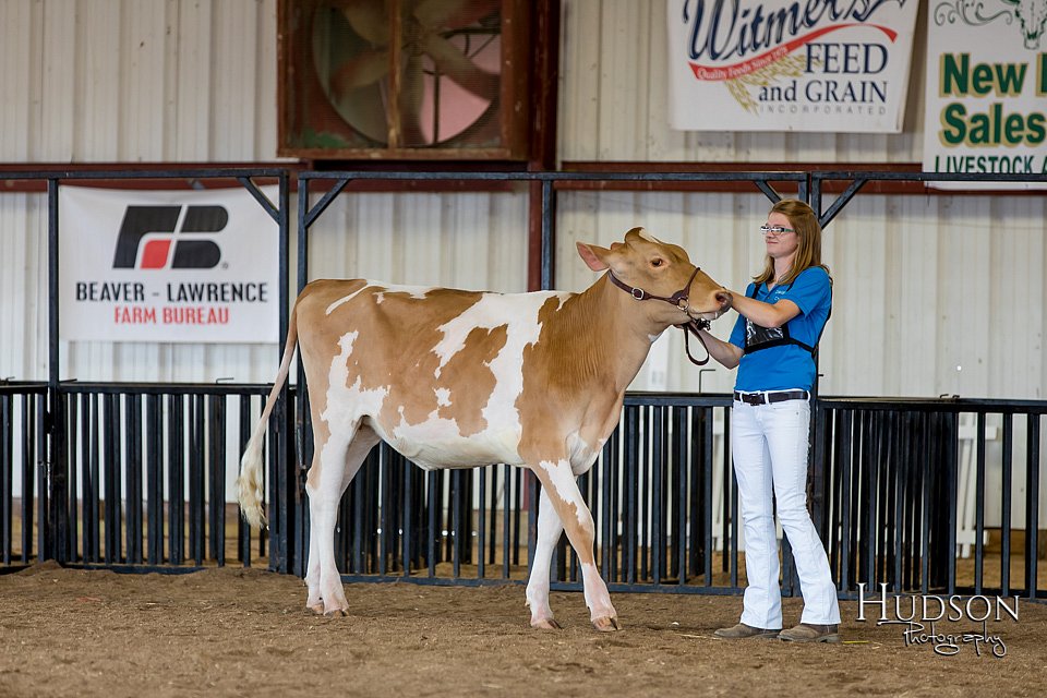 LCFAIR-081618-4303.jpg