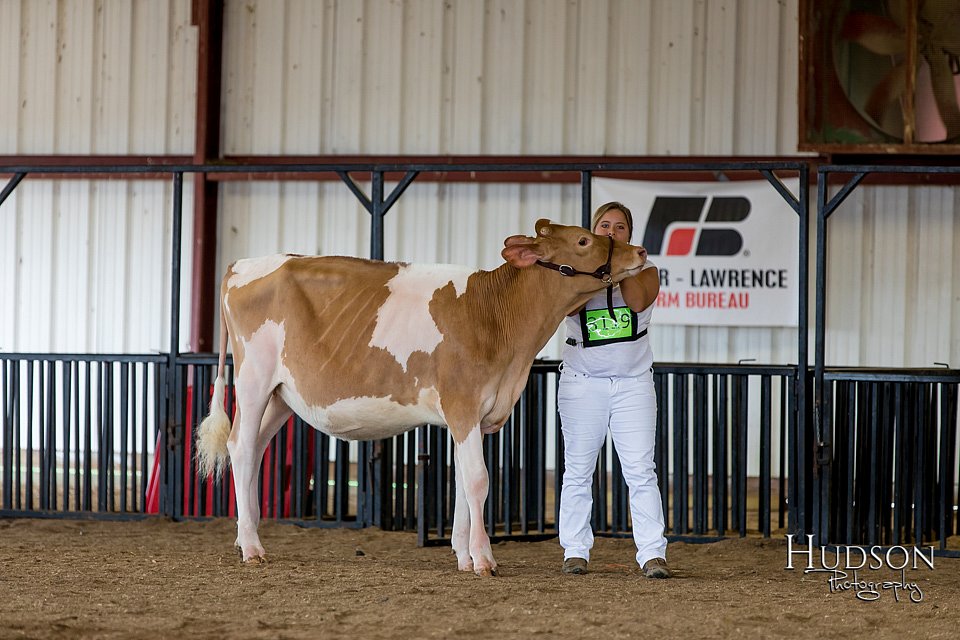 LCFAIR-081618-4305.jpg