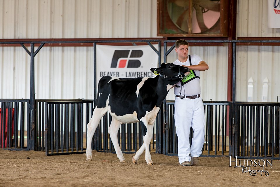 LCFAIR-081618-4313.jpg