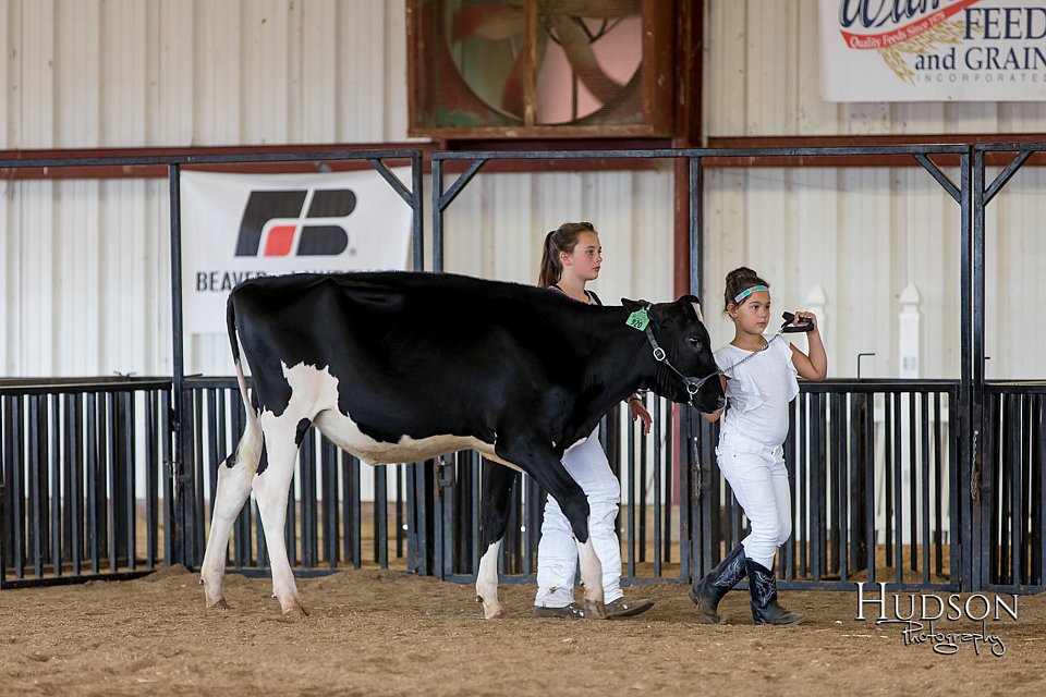 LCFAIR-081618-4319.jpg