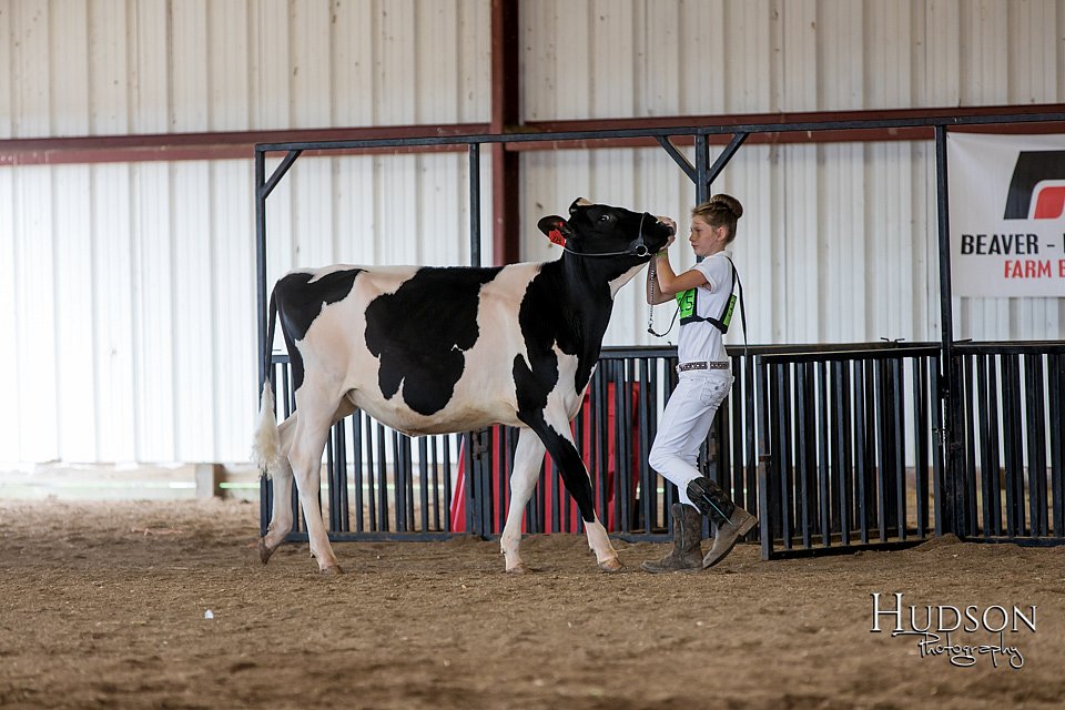 LCFAIR-081618-4320.jpg